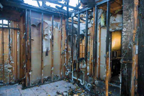 Professional Fire Damage Removal technician working in Wainaku, HI