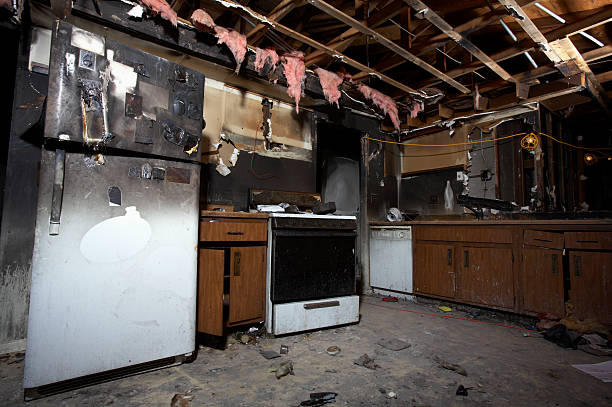 Licensed Fire Damage Removal service in Wainaku, HI - Meridian Smoke Damage